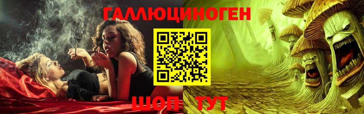 Псилоцибиновые грибы GOLDEN TEACHER Карпинск