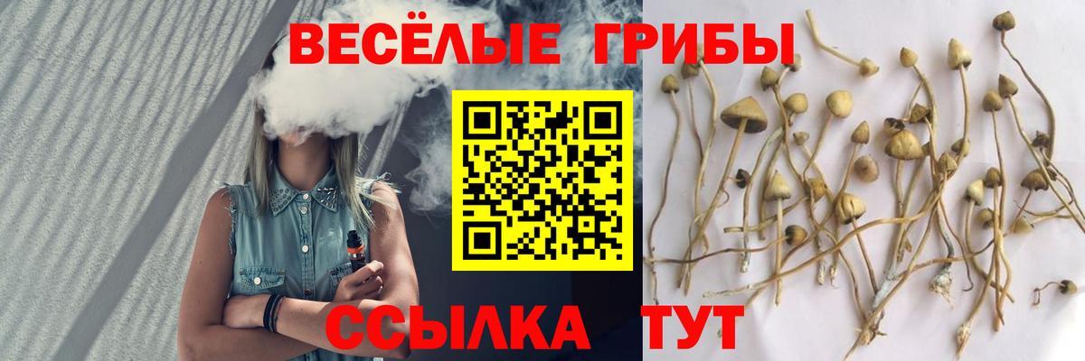 Псилоцибиновые грибы Magic Shrooms  где найти наркотики  Карпинск  Вход с VPN  Галлюциногенные грибы Psilocybine cubensis 